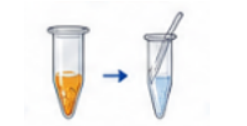 Sample preparation showing extraction and cleanup of a biological sample